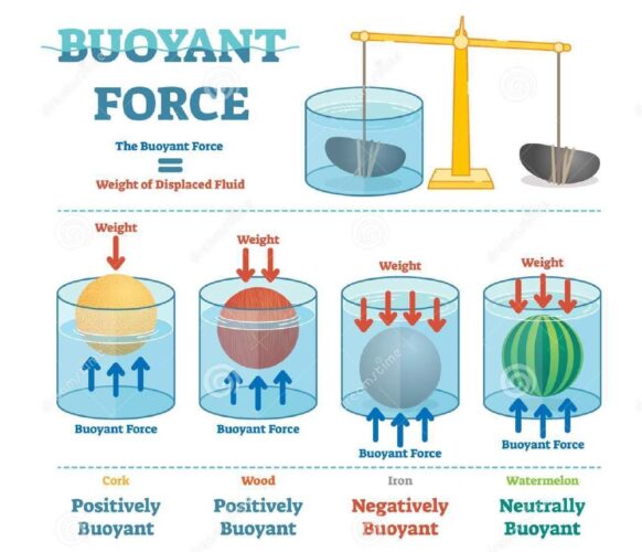 Science Rendezvous » Density PART III – Rainbow Density Column ...