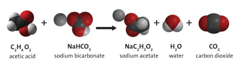 Science Rendezvous » Baking Soda & Vinegar PART I – Inflating Balloons ...