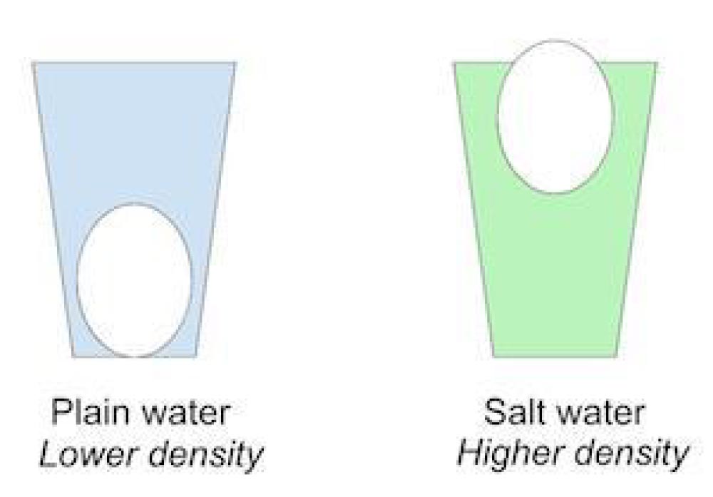 density of salt water
